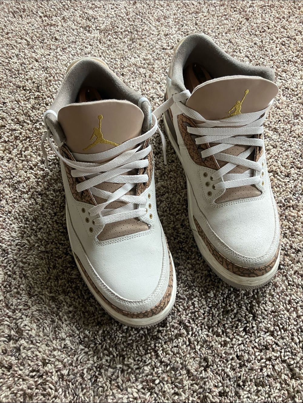 Air Jordan 3 Retro “Palomino” | Size 12 |
